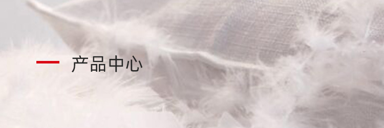 产品中心